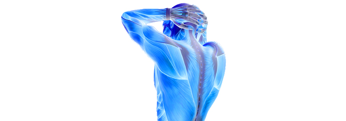 Situs Inversus